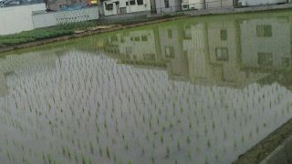 2012061610140000.jpg